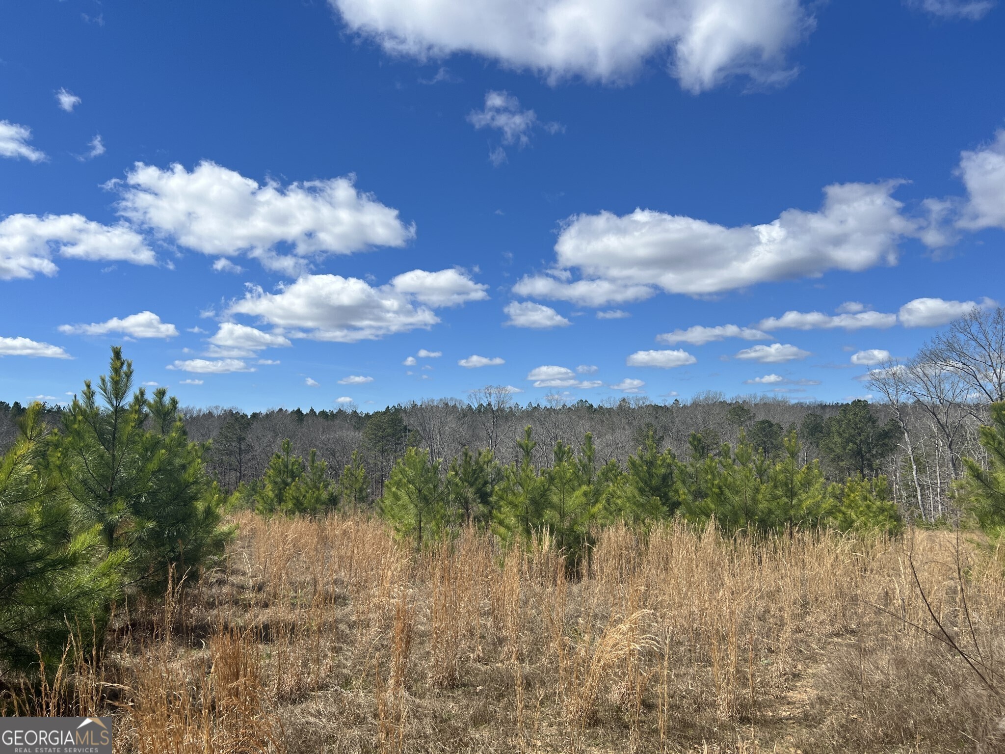 Tract B3 Hulmes Chapel Road Elberton GA 30635
