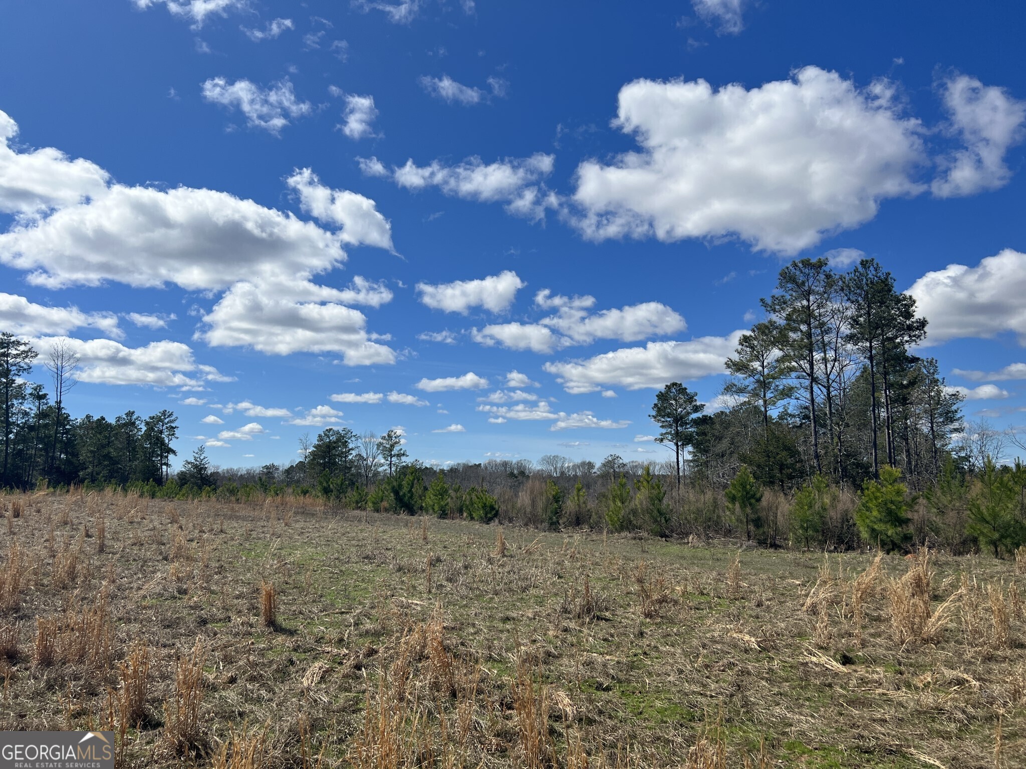 Tract B3 Hulmes Chapel Road Elberton GA 30635
