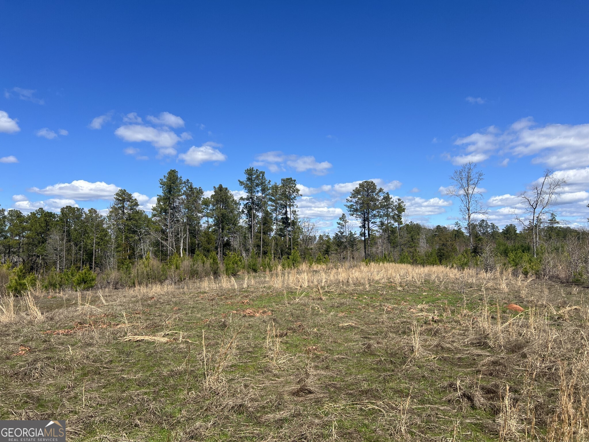 Tract B3 Hulmes Chapel Road Elberton GA 30635