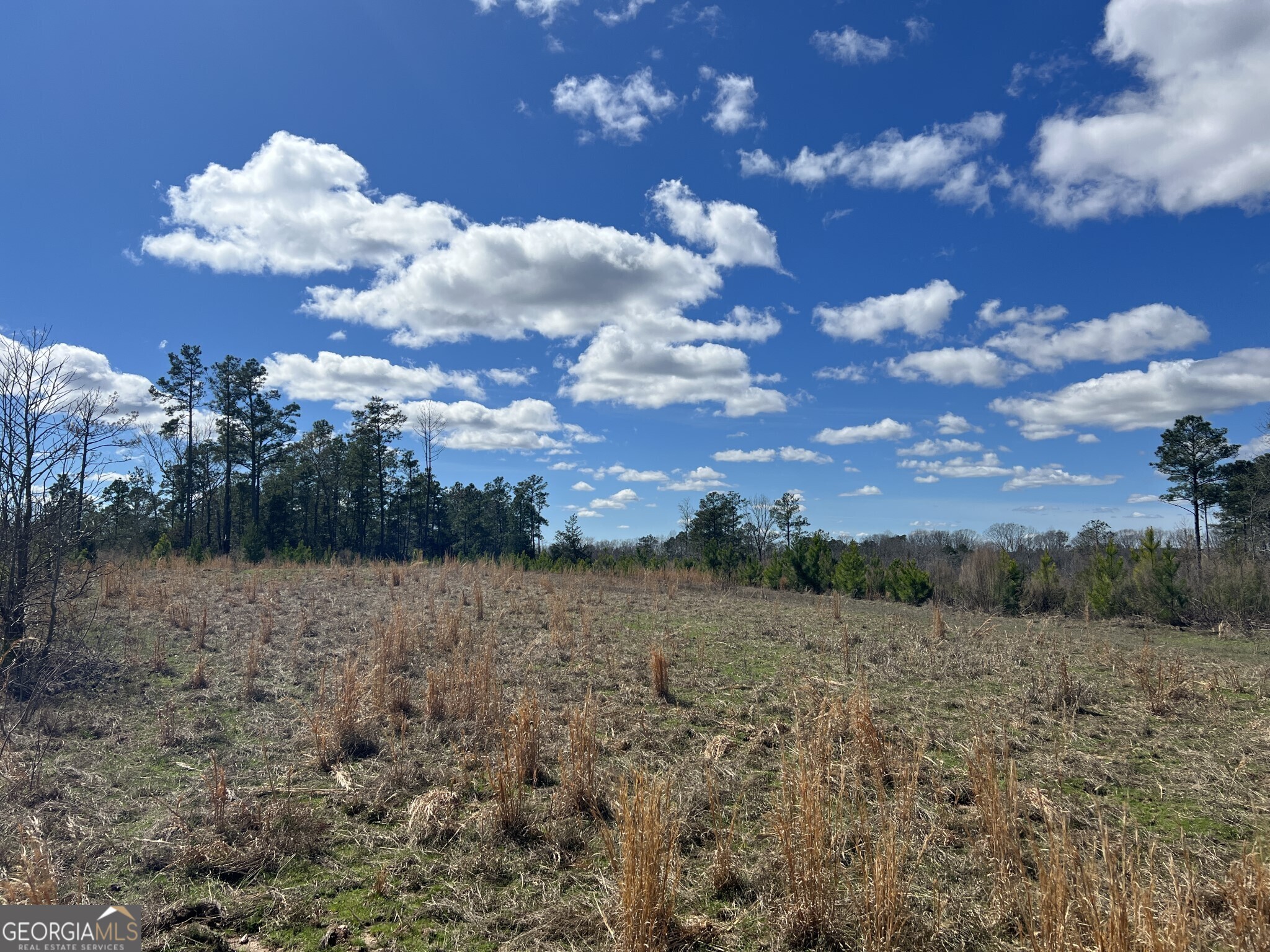 Tract B3 Hulmes Chapel Road Elberton GA 30635