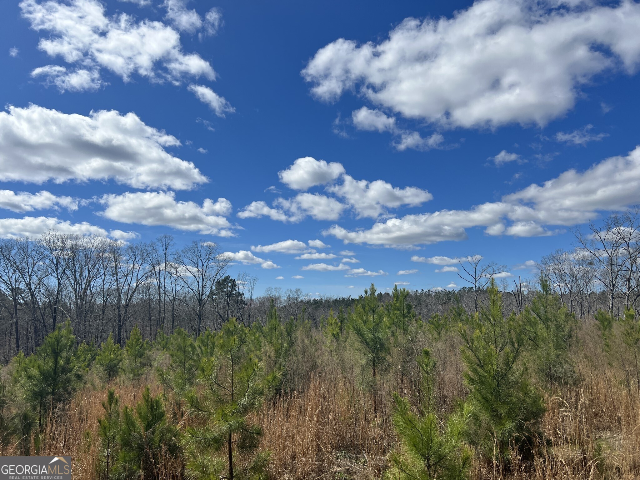 Tract B3 Hulmes Chapel Road Elberton GA 30635