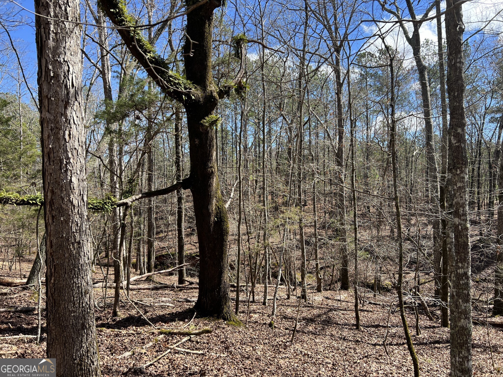 Tract B3 Hulmes Chapel Road Elberton GA 30635