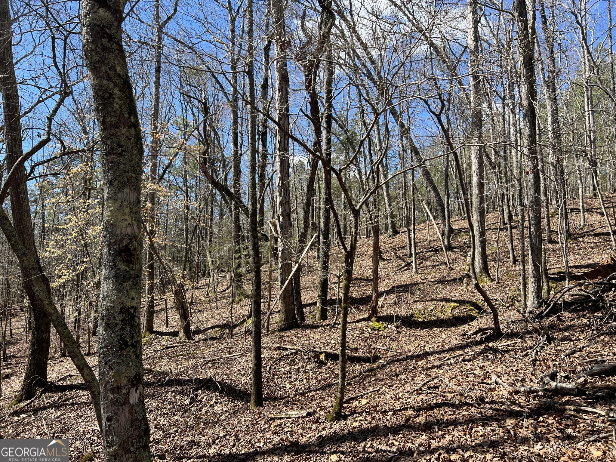 Tract B3 Hulmes Chapel Road Elberton GA 30635