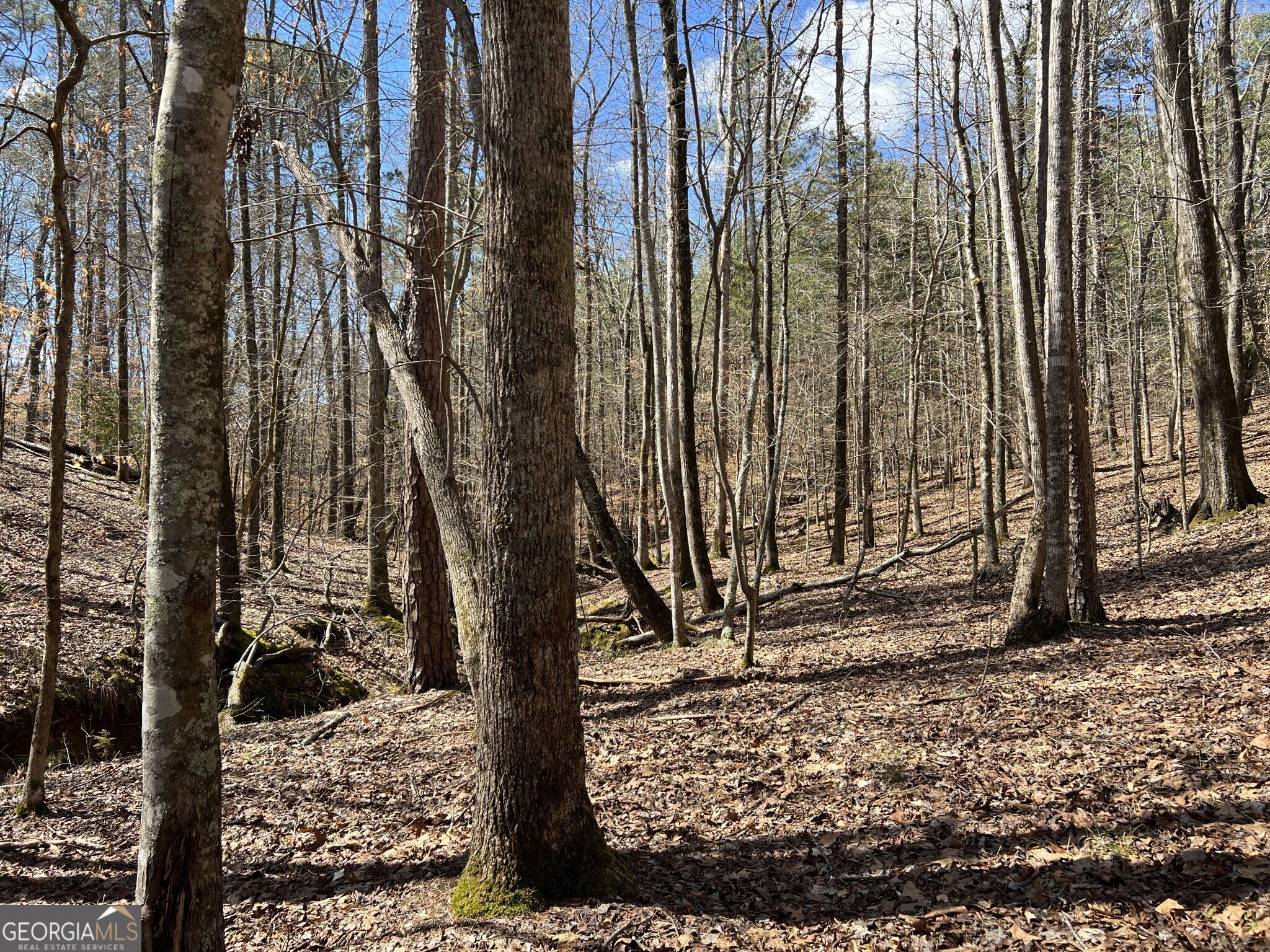 Tract B3 Hulmes Chapel Road Elberton GA 30635