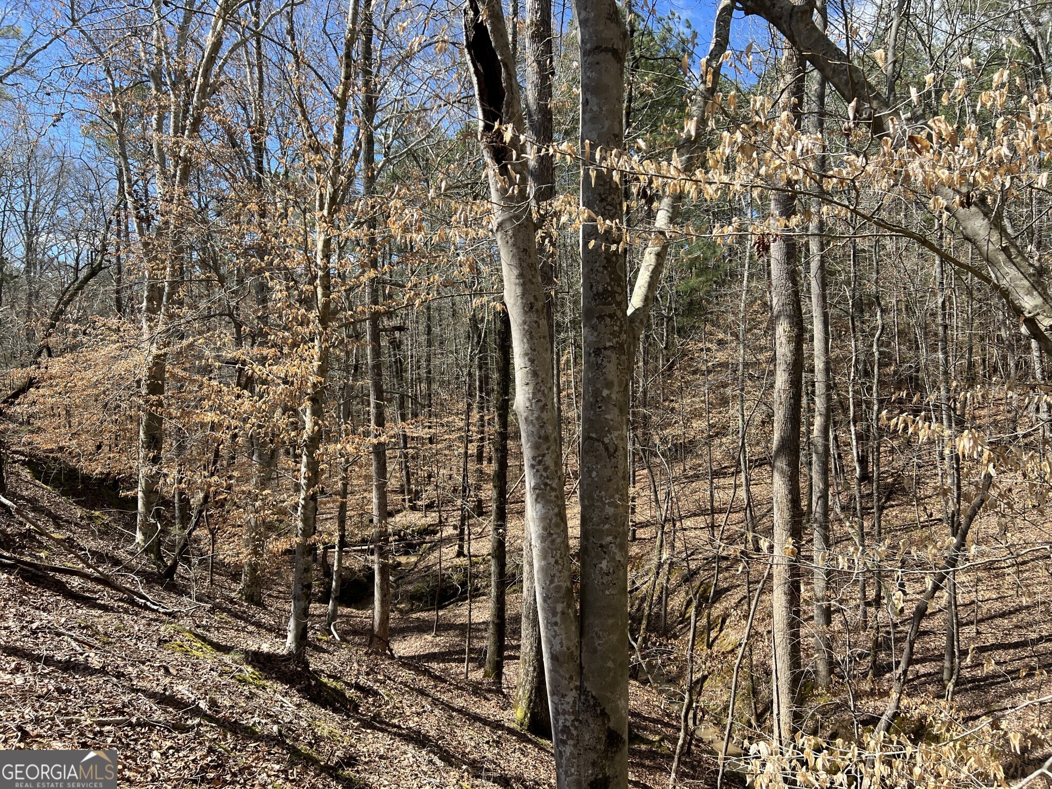 Tract B3 Hulmes Chapel Road Elberton GA 30635