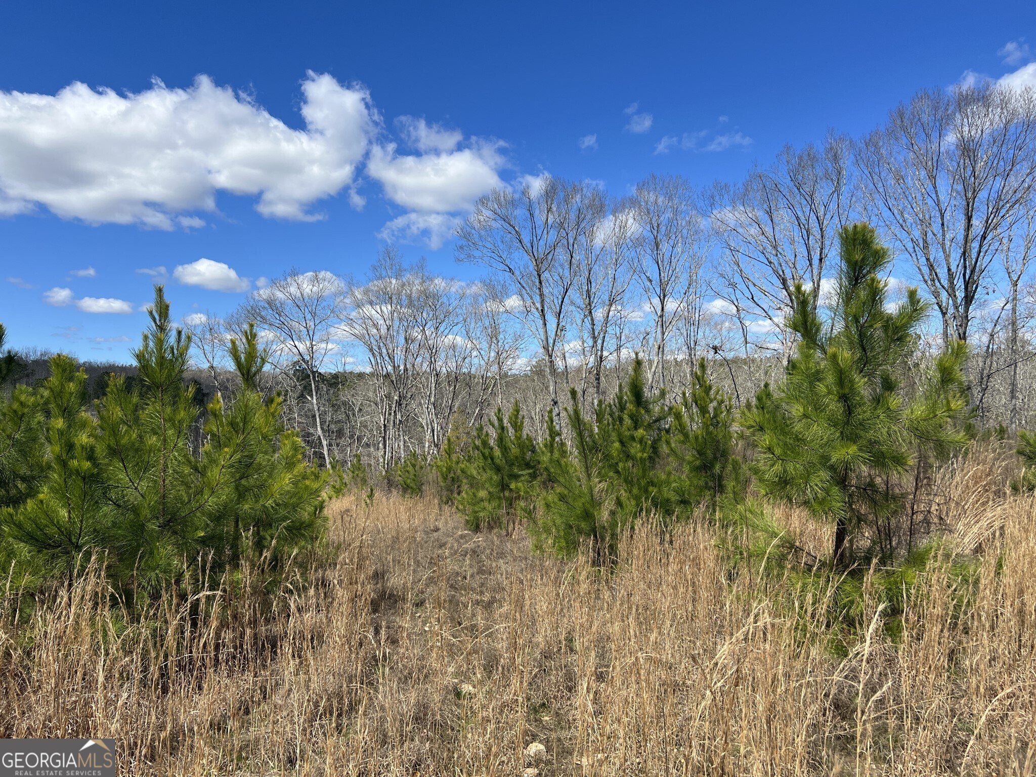 Tract B3 Hulmes Chapel Road Elberton GA 30635