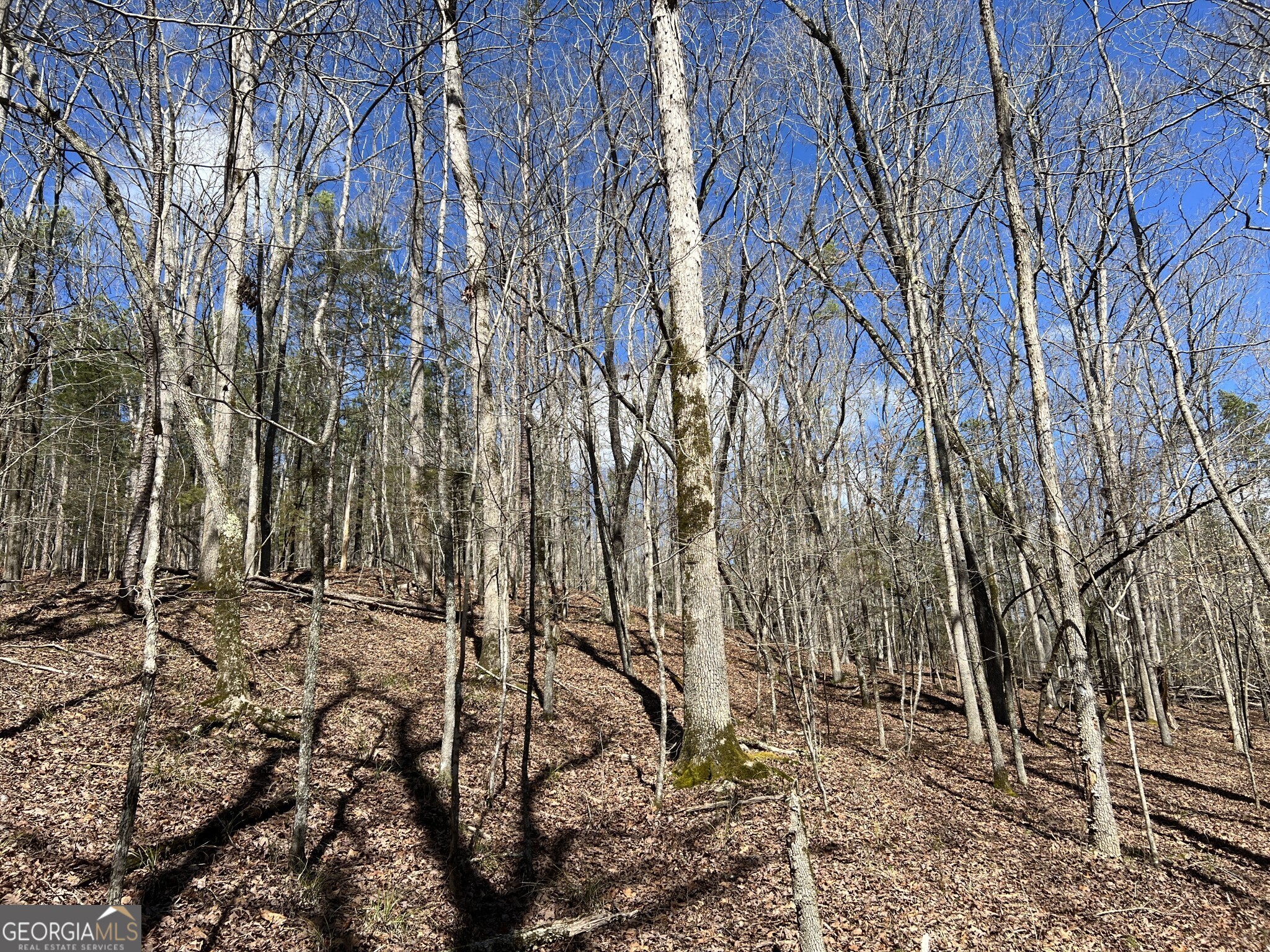 Tract B3 Hulmes Chapel Road Elberton GA 30635