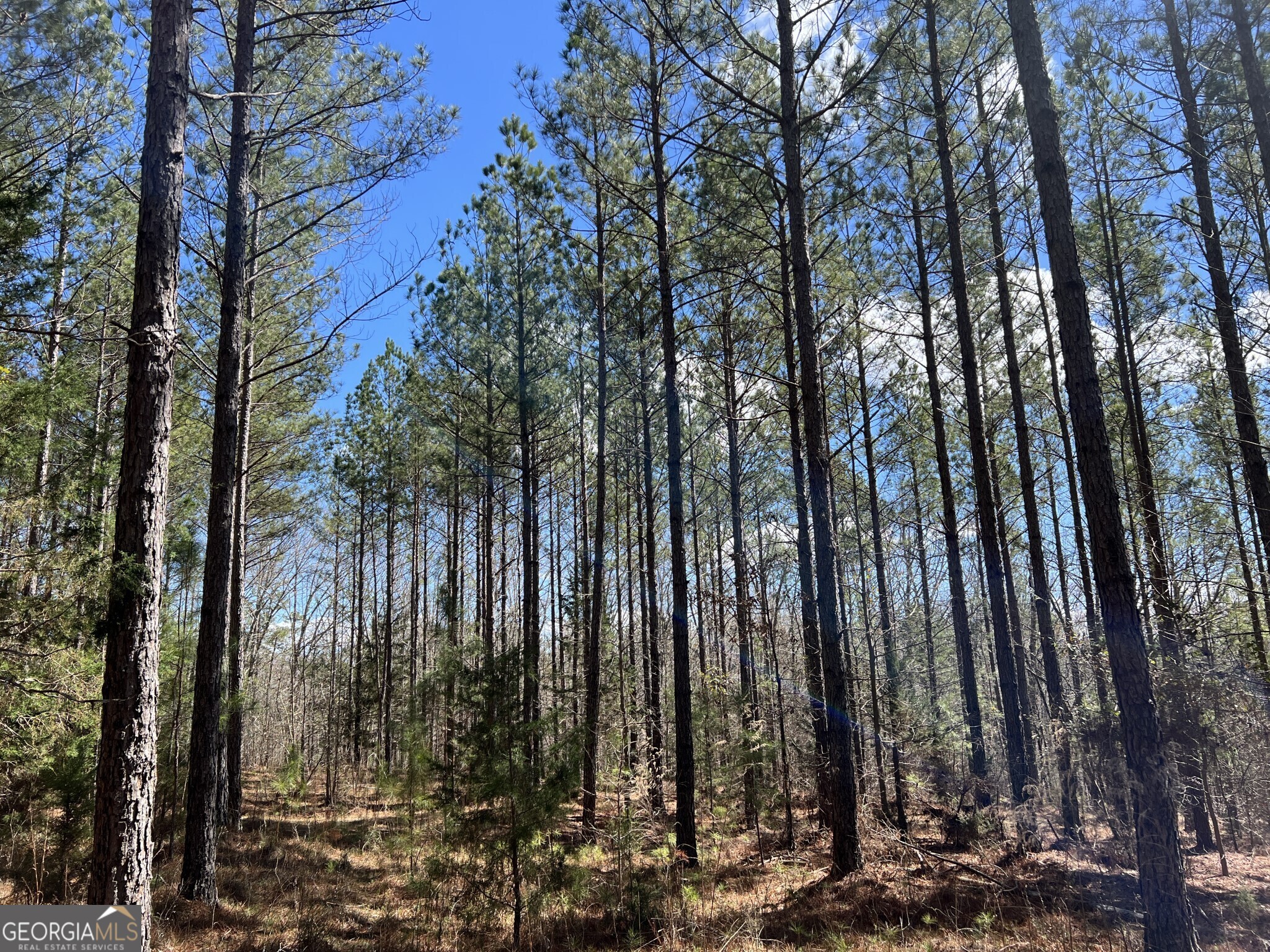 Tract B3 Hulmes Chapel Road Elberton GA 30635