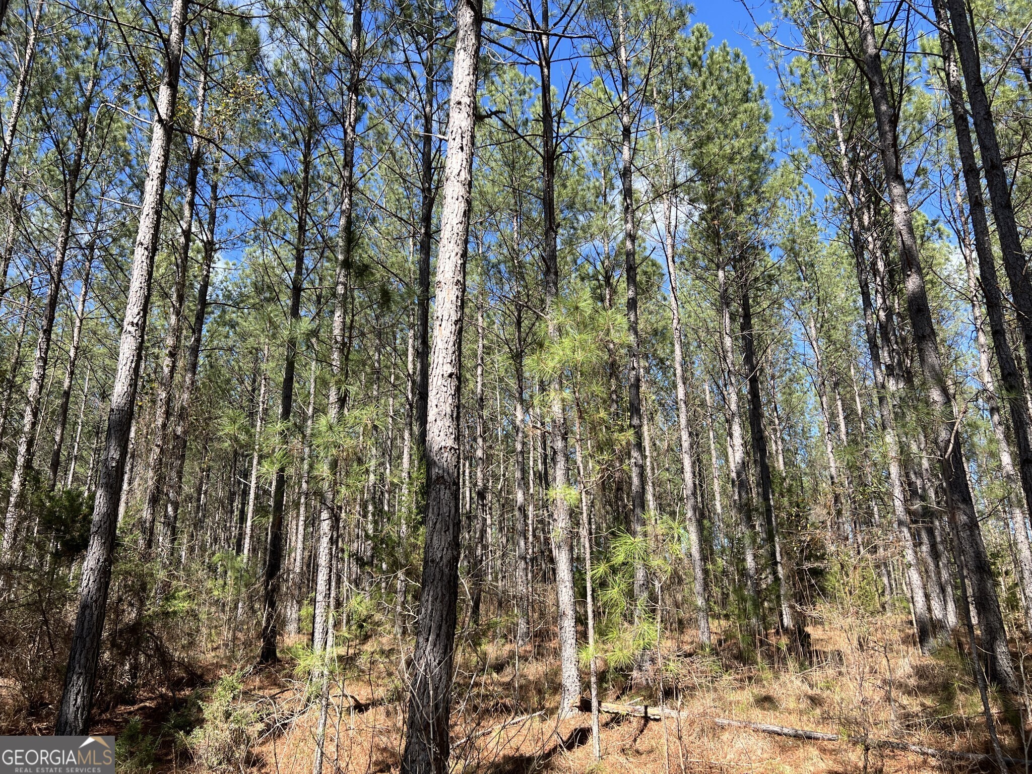 Tract B3 Hulmes Chapel Road Elberton GA 30635