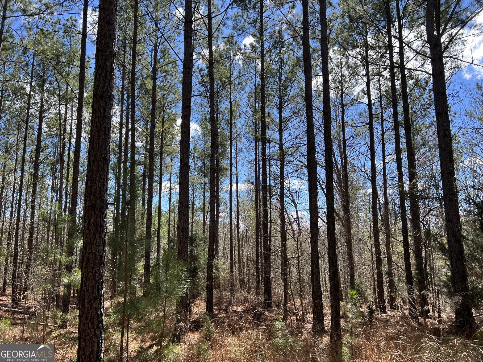 Tract B3 Hulmes Chapel Road Elberton GA 30635