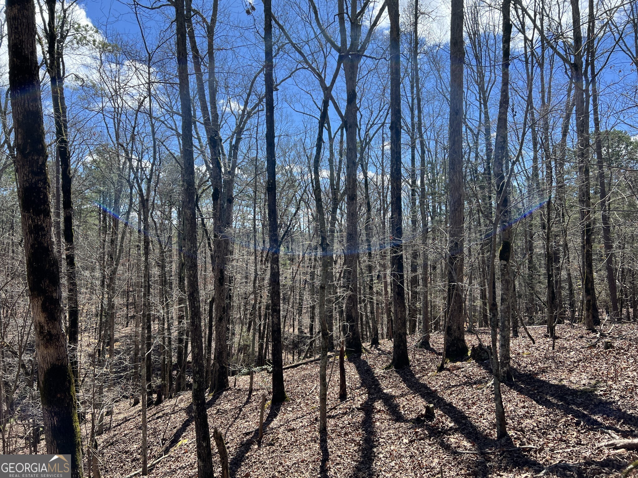Tract B3 Hulmes Chapel Road Elberton GA 30635