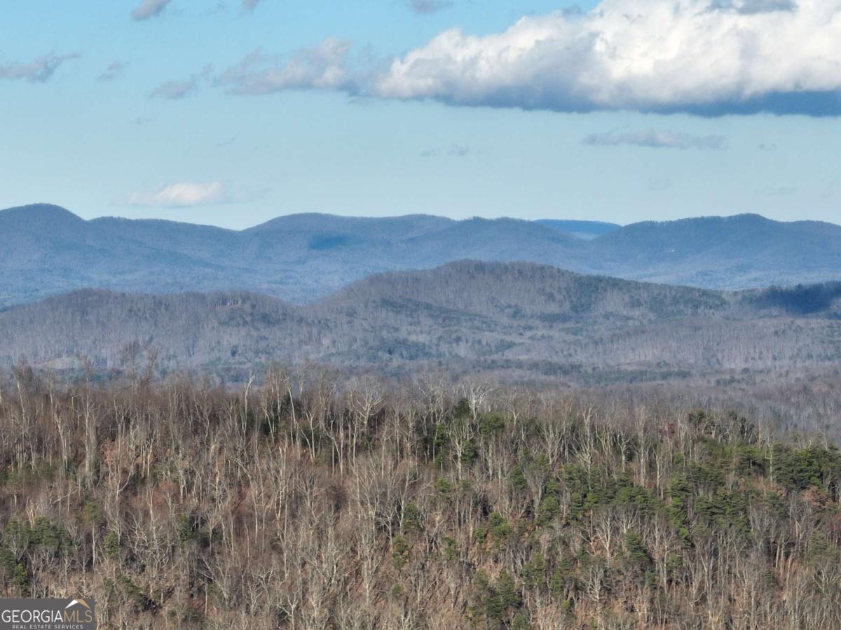 281 Andes Ridge Ellijay GA 30536