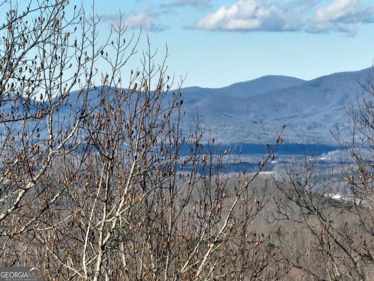 281 Andes Ridge Ellijay GA 30536