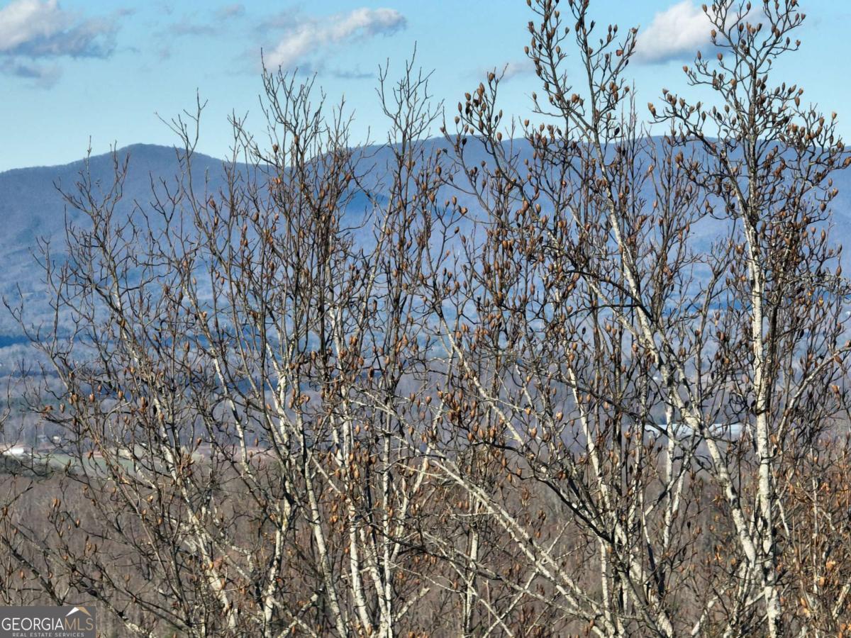 281 Andes Ridge Ellijay GA 30536