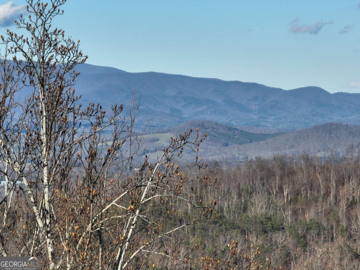 281 Andes Ridge Ellijay GA 30536