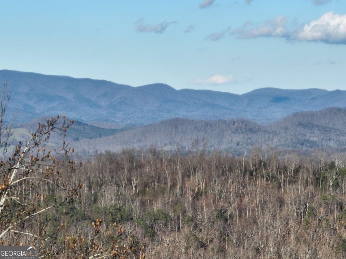 281 Andes Ridge Ellijay GA 30536