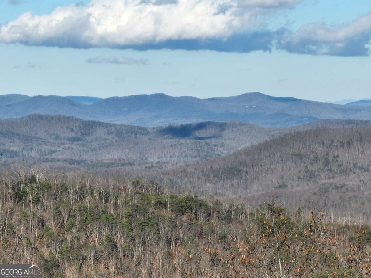 281 Andes Ridge Ellijay GA 30536