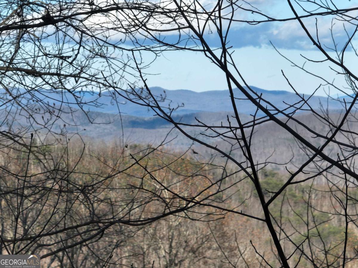 281 Andes Ridge Ellijay GA 30536