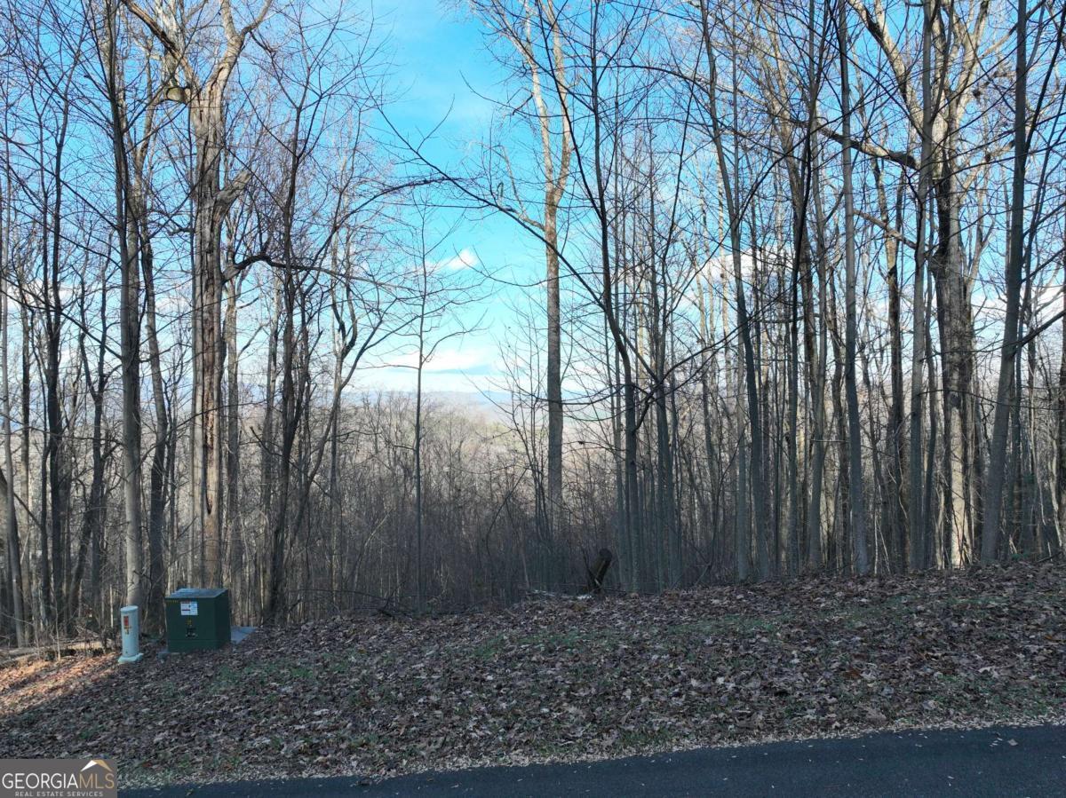 281 Andes Ridge Ellijay GA 30536