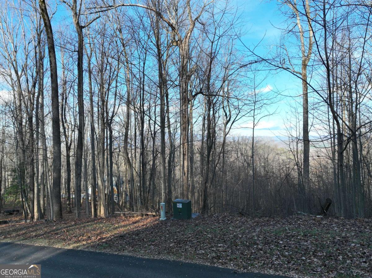 281 Andes Ridge Ellijay GA 30536