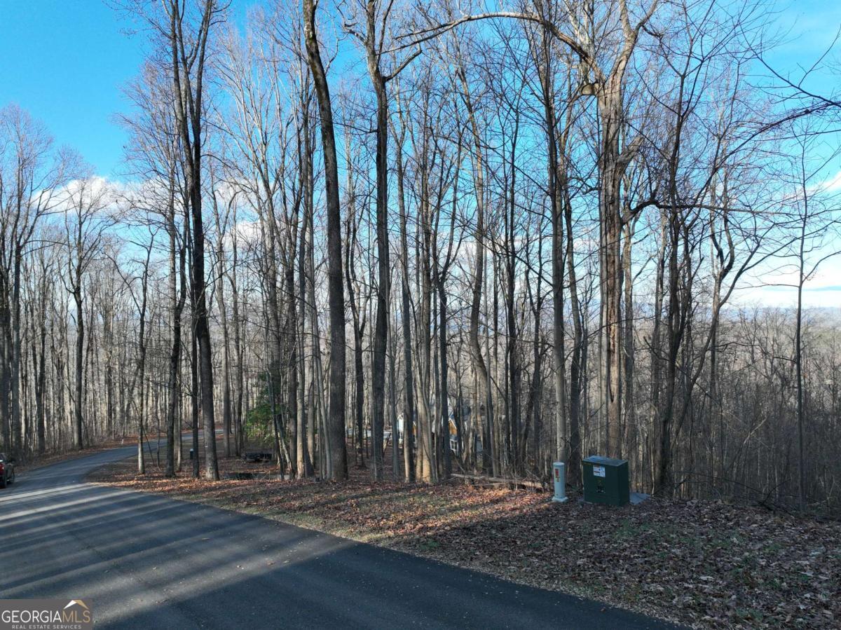 281 Andes Ridge Ellijay GA 30536