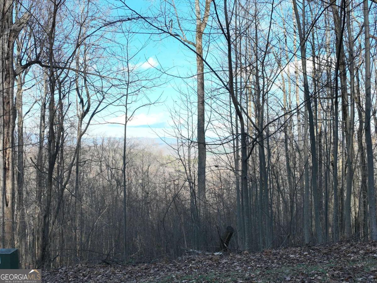 281 Andes Ridge Ellijay GA 30536