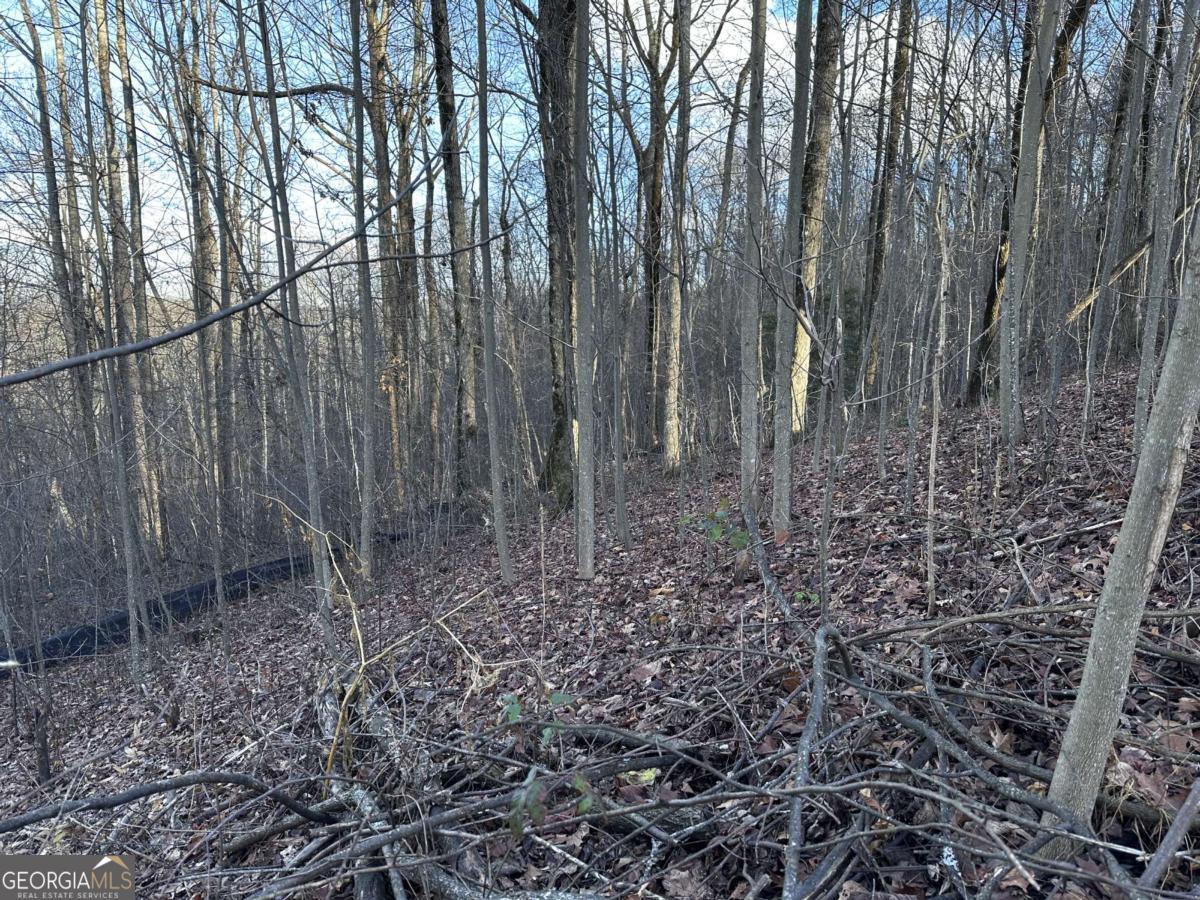 281 Andes Ridge Ellijay GA 30536