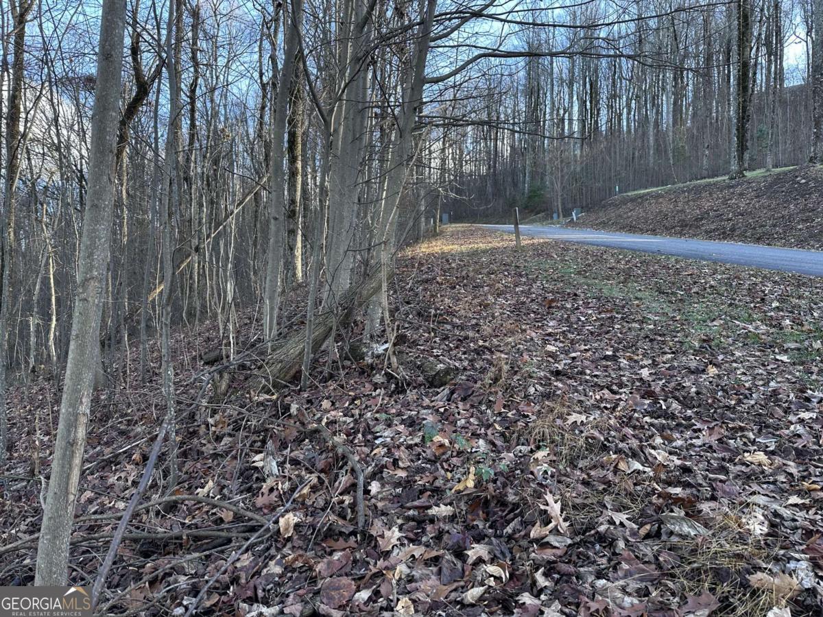 281 Andes Ridge Ellijay GA 30536