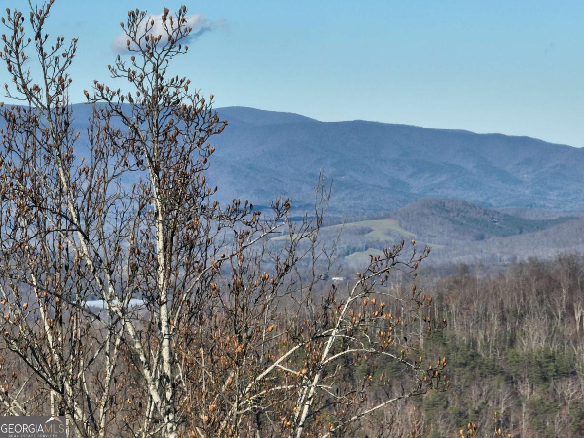 281 Andes Ridge Ellijay GA 30536