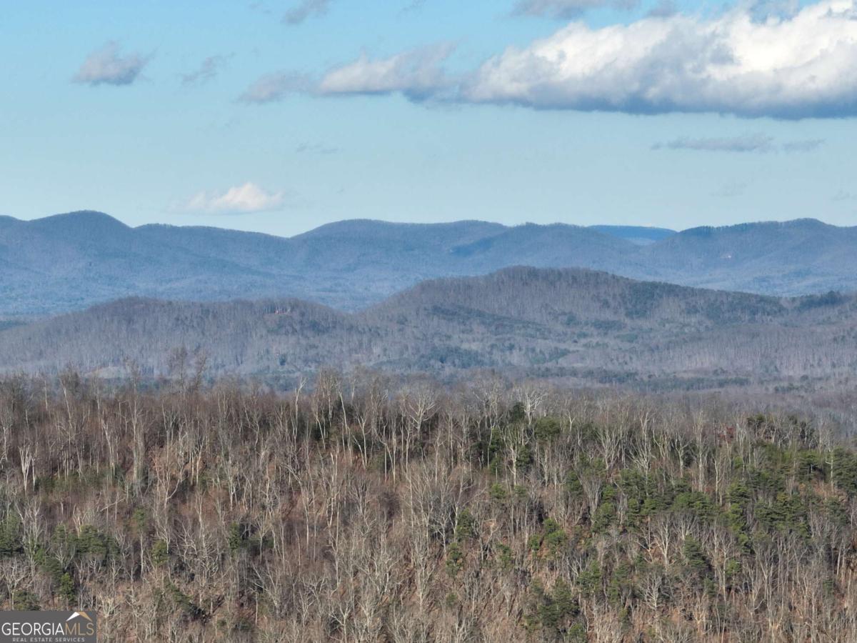281 Andes Ridge Ellijay GA 30536