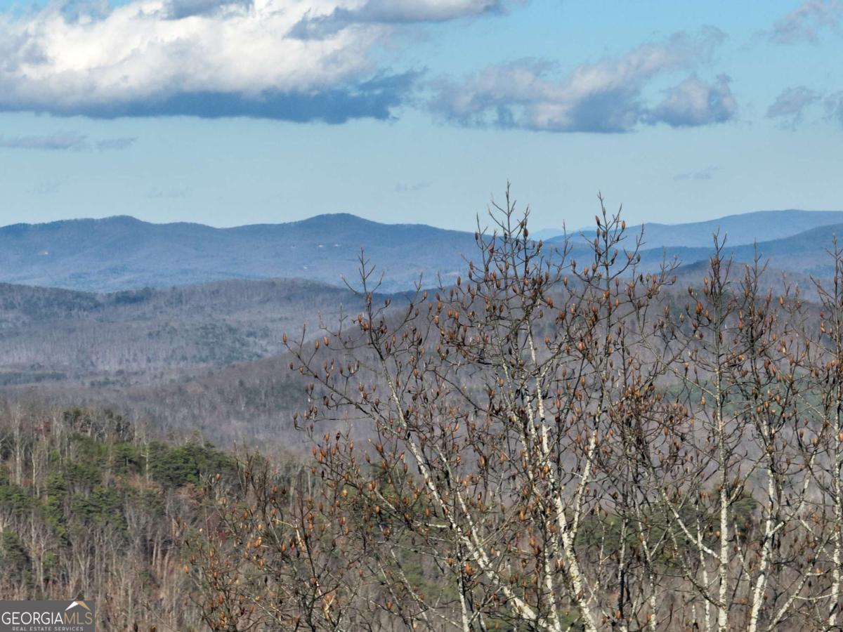 281 Andes Ridge Ellijay GA 30536