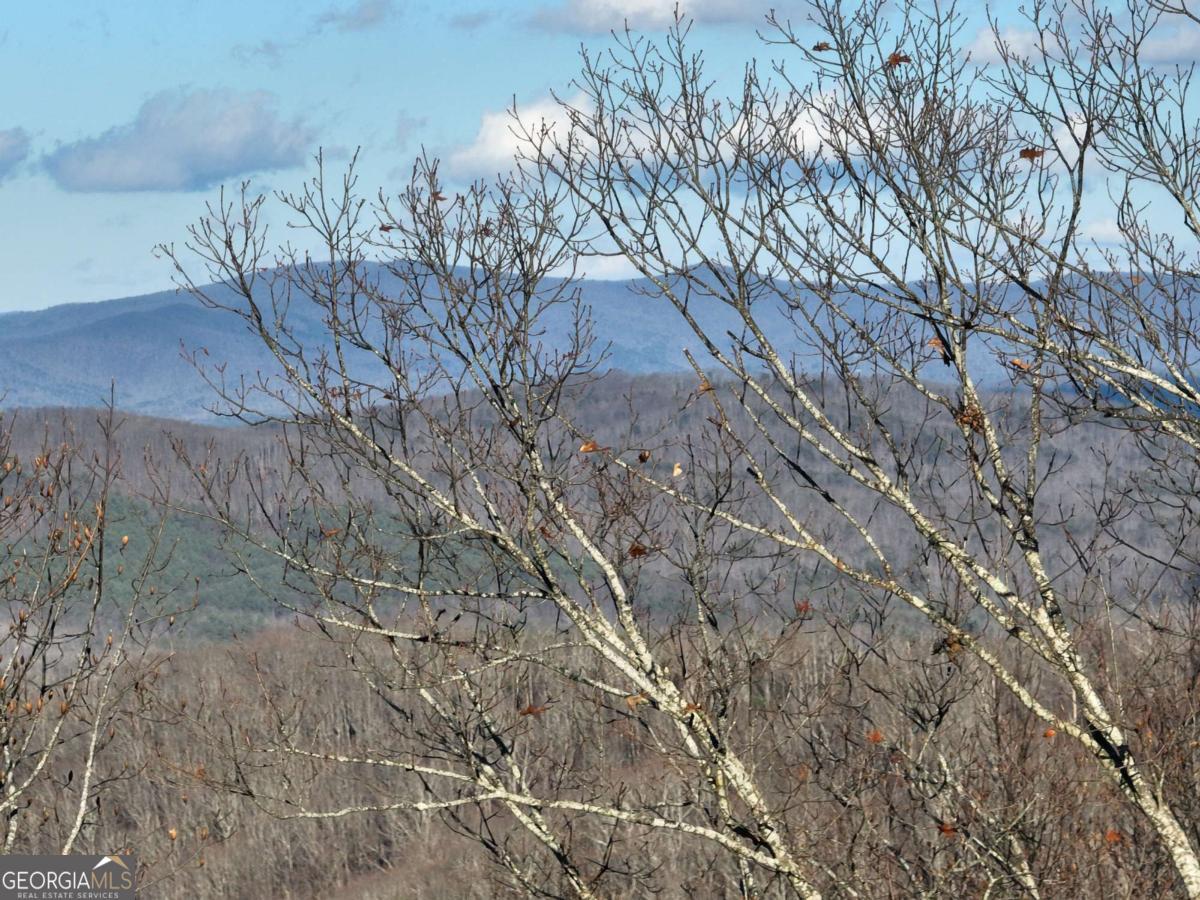 281 Andes Ridge Ellijay GA 30536