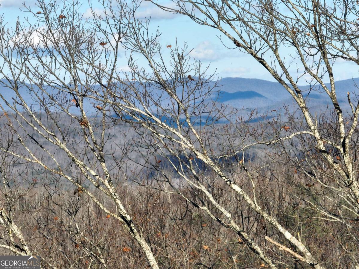 281 Andes Ridge Ellijay GA 30536