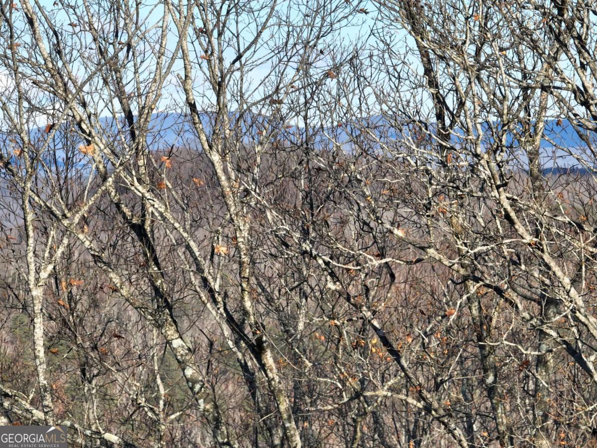 281 Andes Ridge Ellijay GA 30536