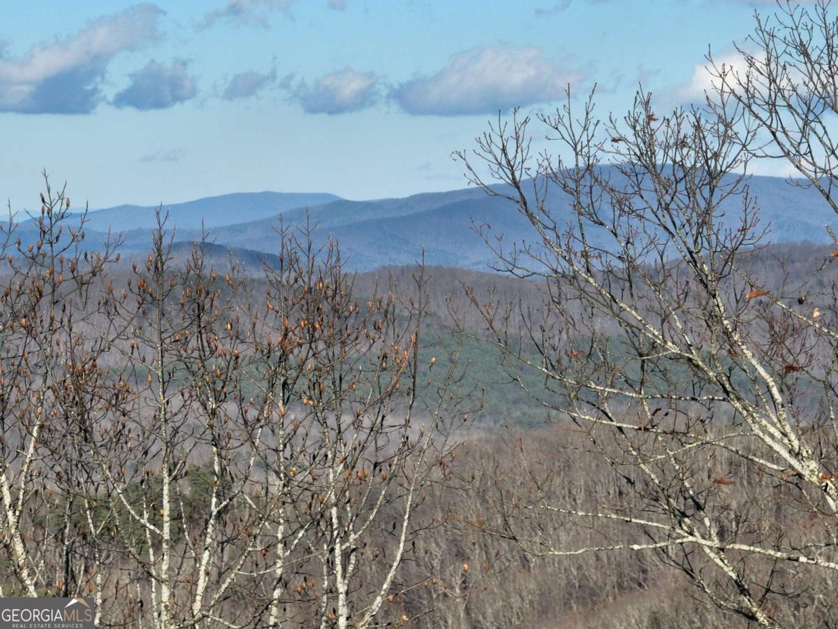 281 Andes Ridge Ellijay GA 30536