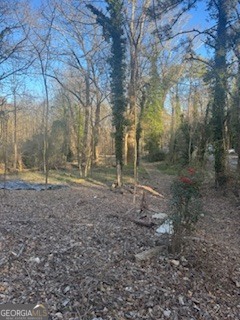 224 SW Dollar Mill Road SW Atlanta GA 30331