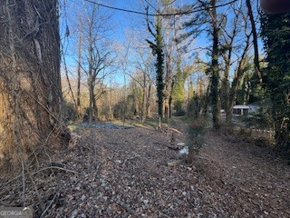224 SW Dollar Mill Road SW Atlanta GA 30331