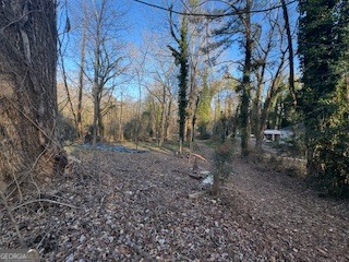 224 SW Dollar Mill Road SW Atlanta GA 30331