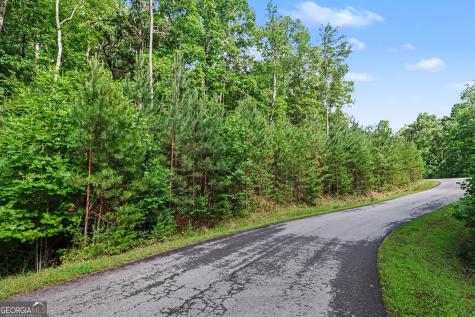 230 Rushing Water Drive Blairsville GA 30512
