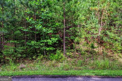 230 Rushing Water Drive Blairsville GA 30512