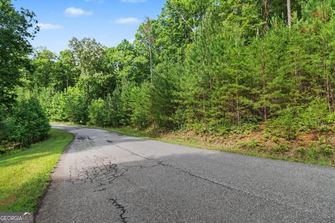 230 Rushing Water Drive Blairsville GA 30512
