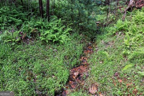230 Rushing Water Drive Blairsville GA 30512