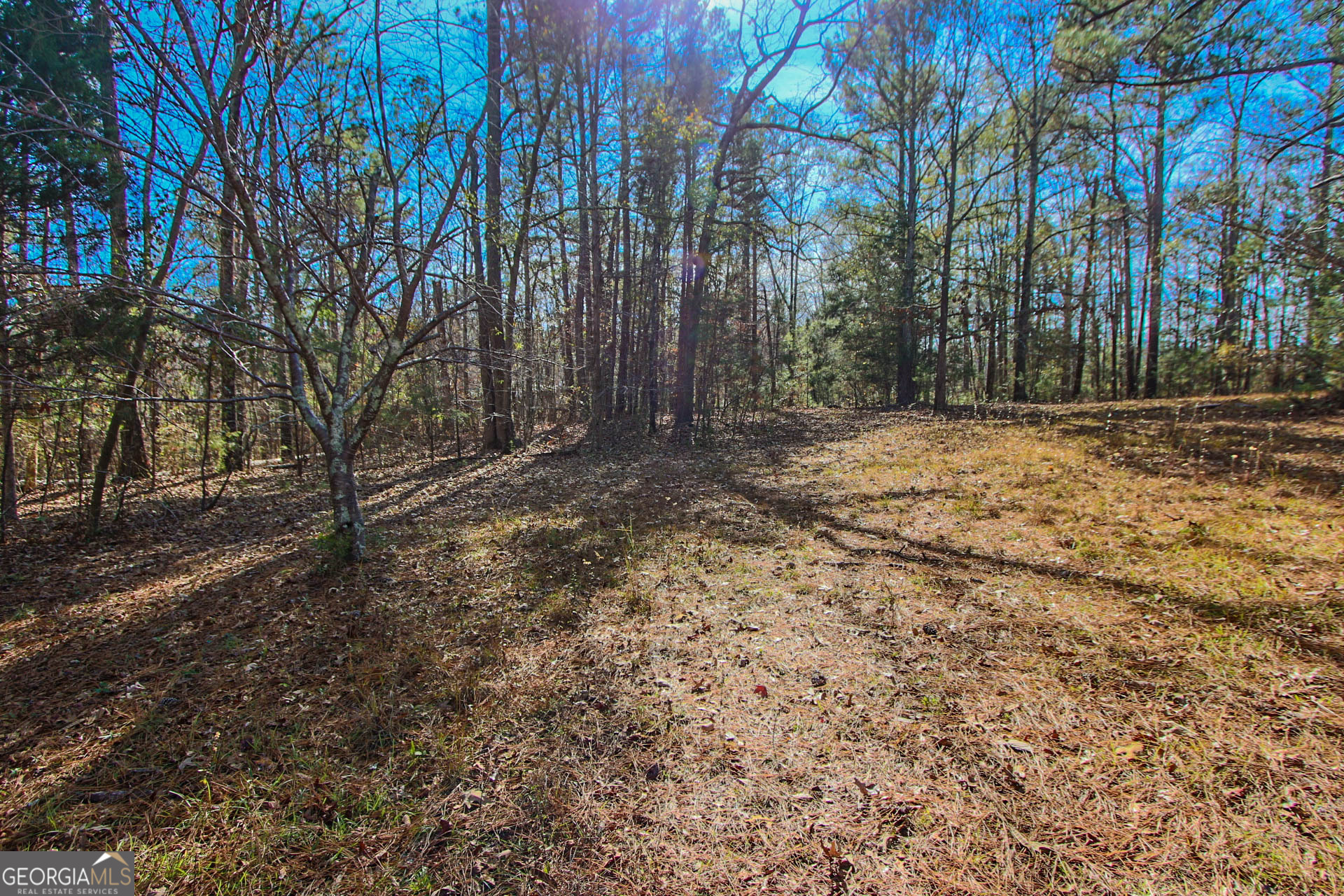 0 Haley Road Jackson GA 30233