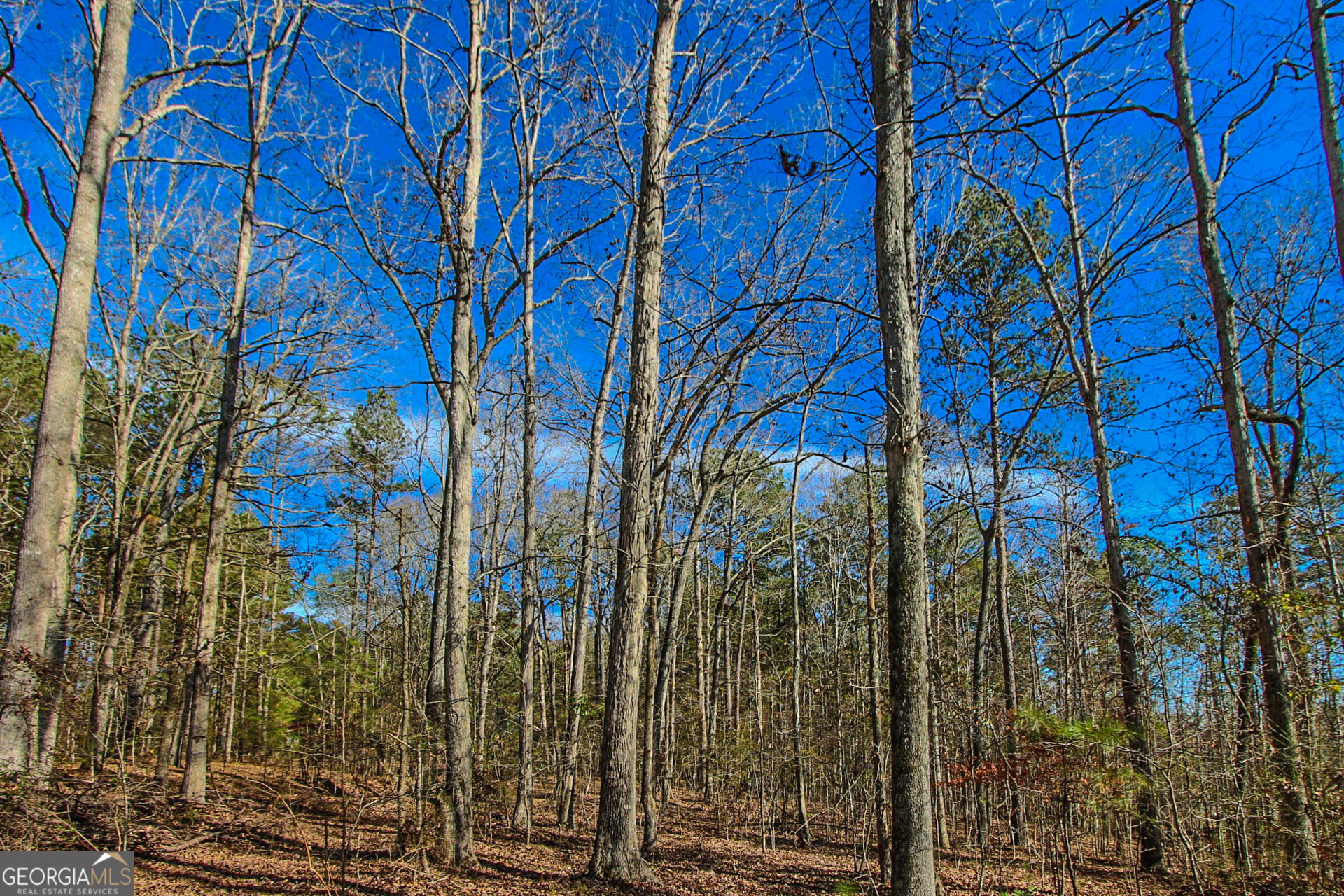 0 Haley Road Jackson GA 30233