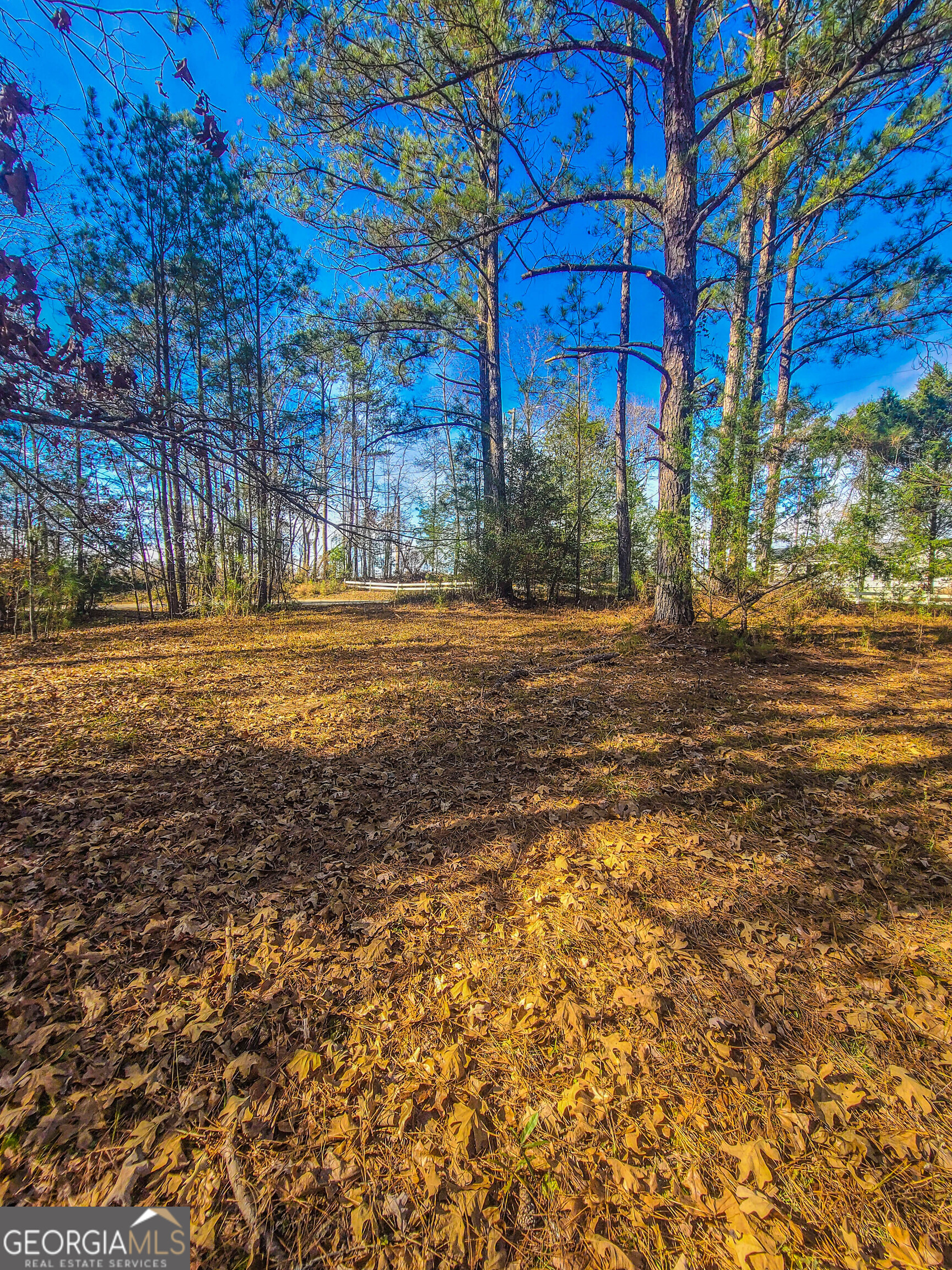 0 Haley Road Jackson GA 30233