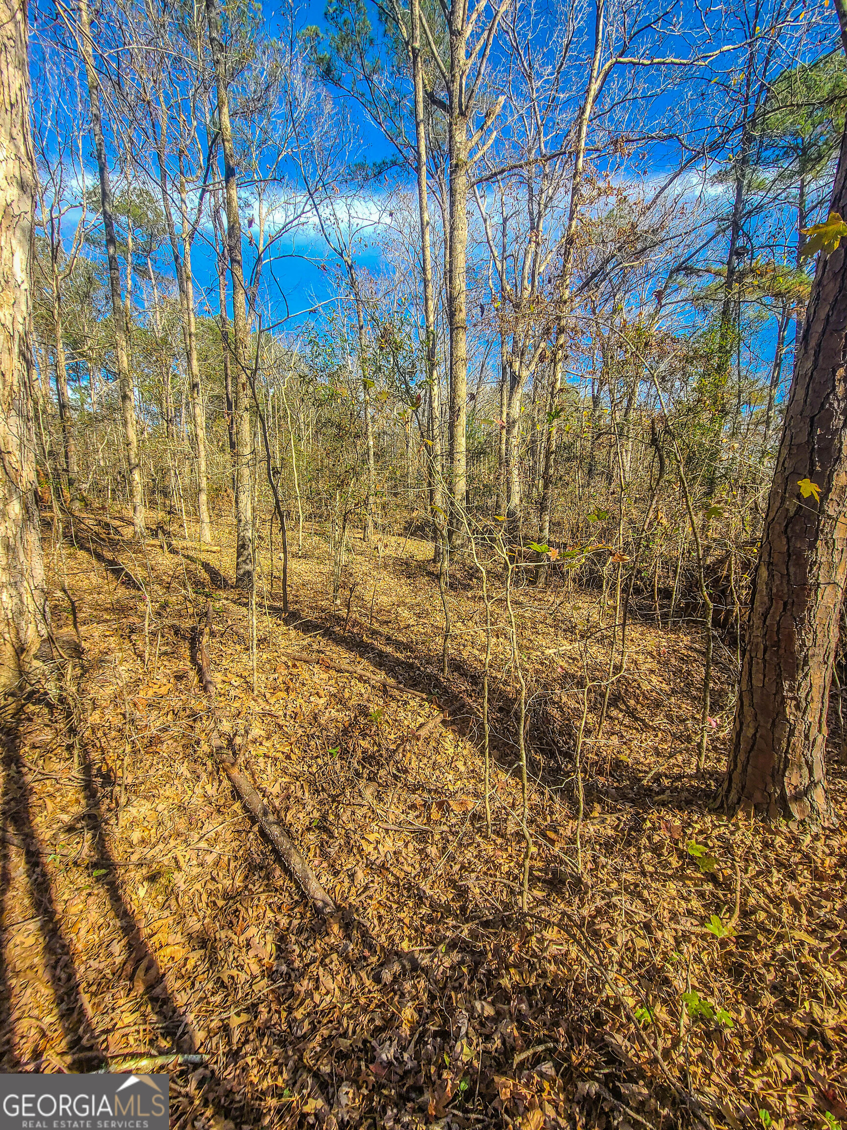 0 Haley Road Jackson GA 30233