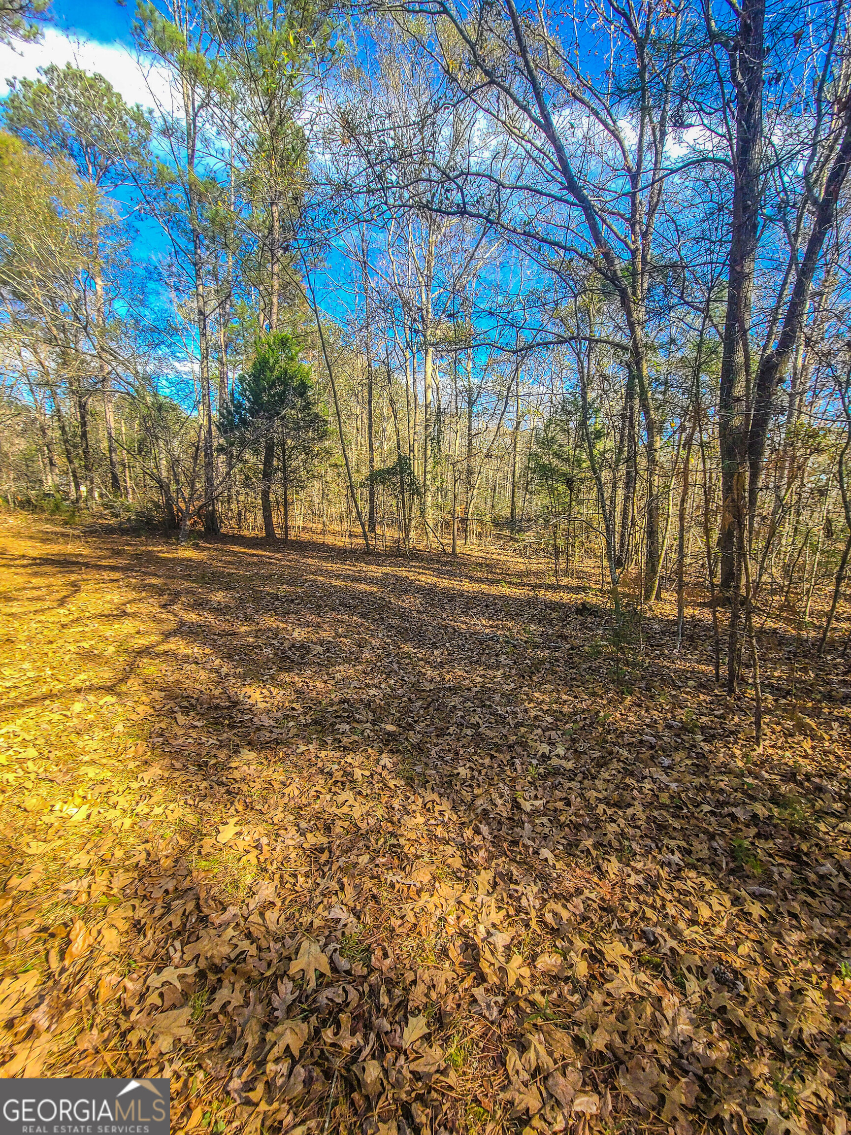 0 Haley Road Jackson GA 30233