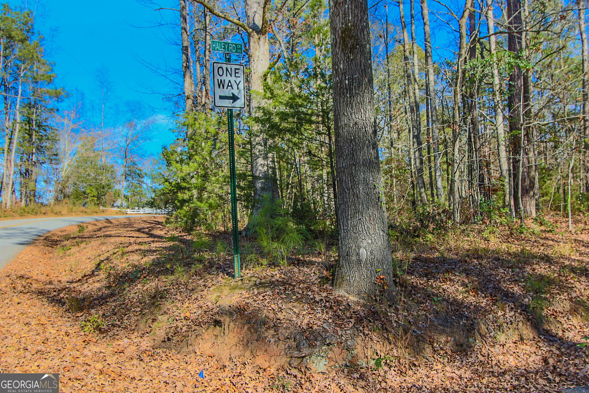 0 Haley Road Jackson GA 30233