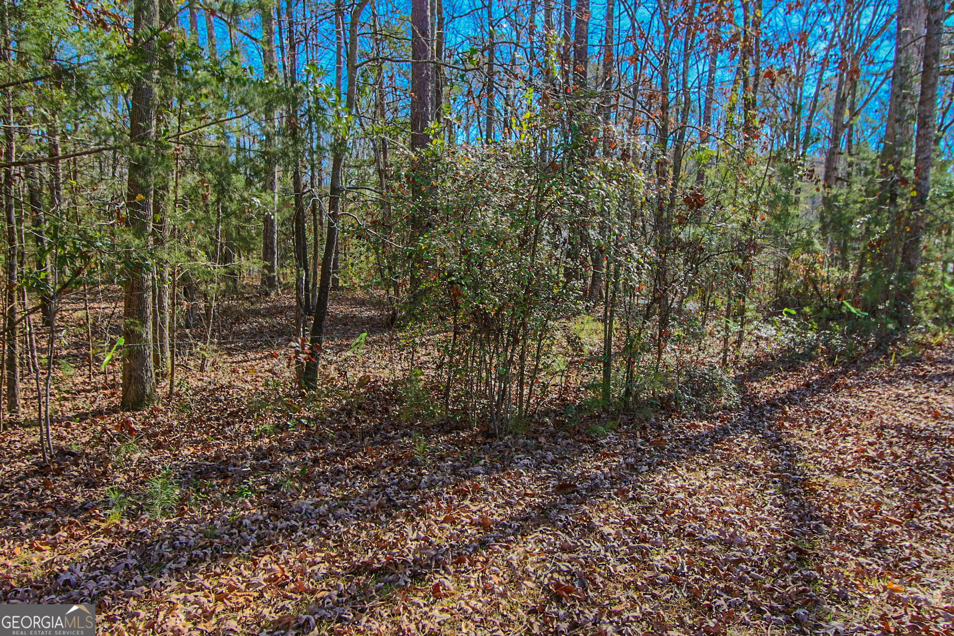 0 Haley Road Jackson GA 30233