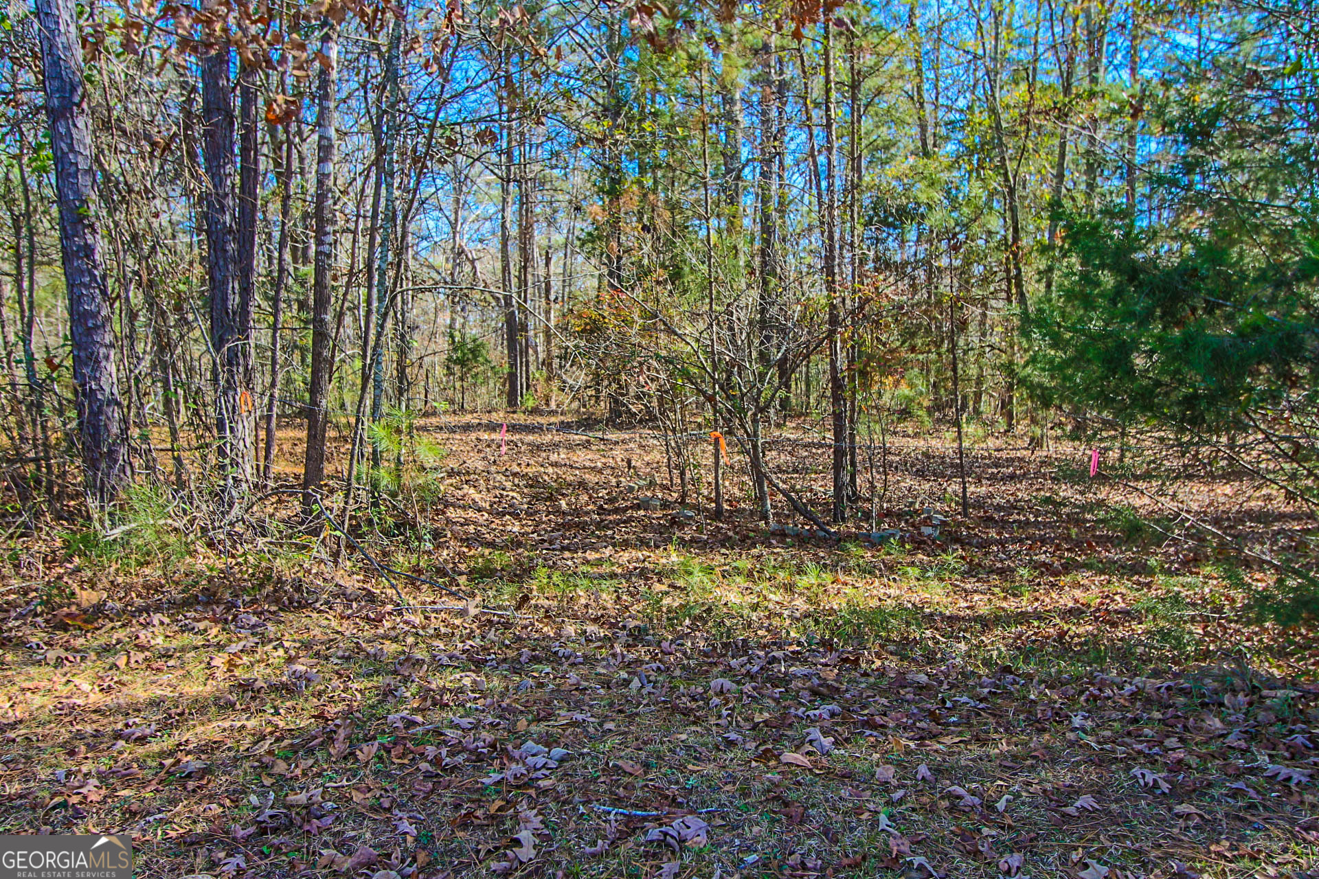 0 Haley Road Jackson GA 30233